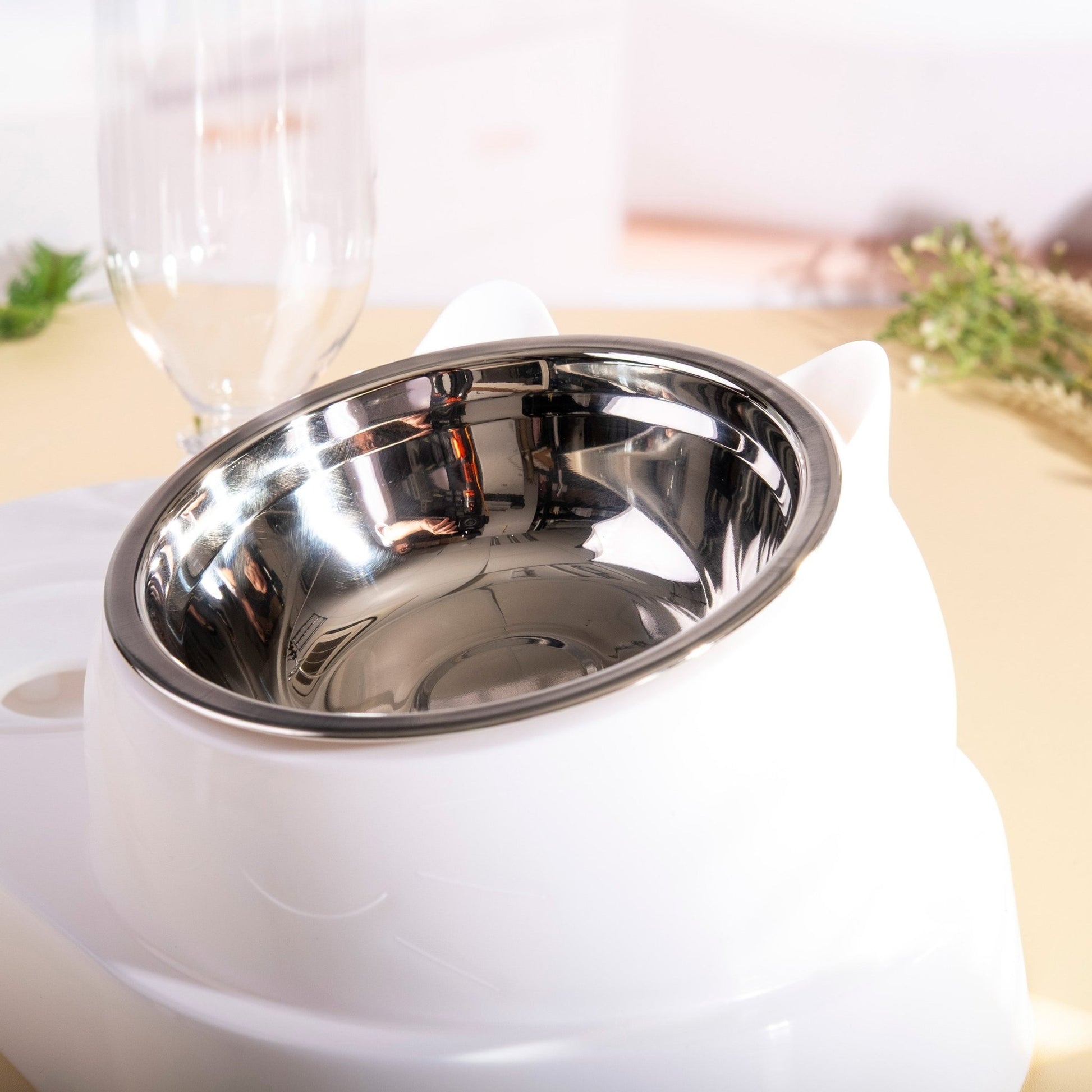 2 in 1 Dog Cat Water and Food Bowl Set - fabufabu design store
