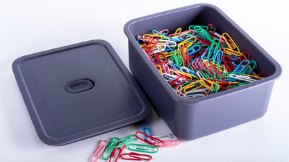 Fabufabu 2paks Small Plastic Storage Containers With Dust - proof silicone design - fabufabu design store