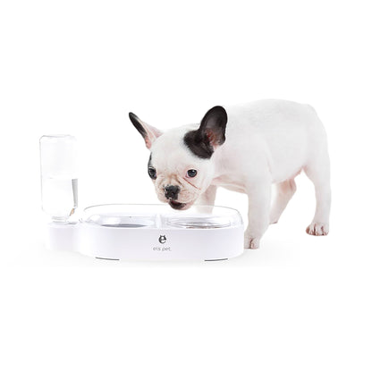 Pet 2 - in - 1 Water Bowl and Food Bowl - fabufabu design store