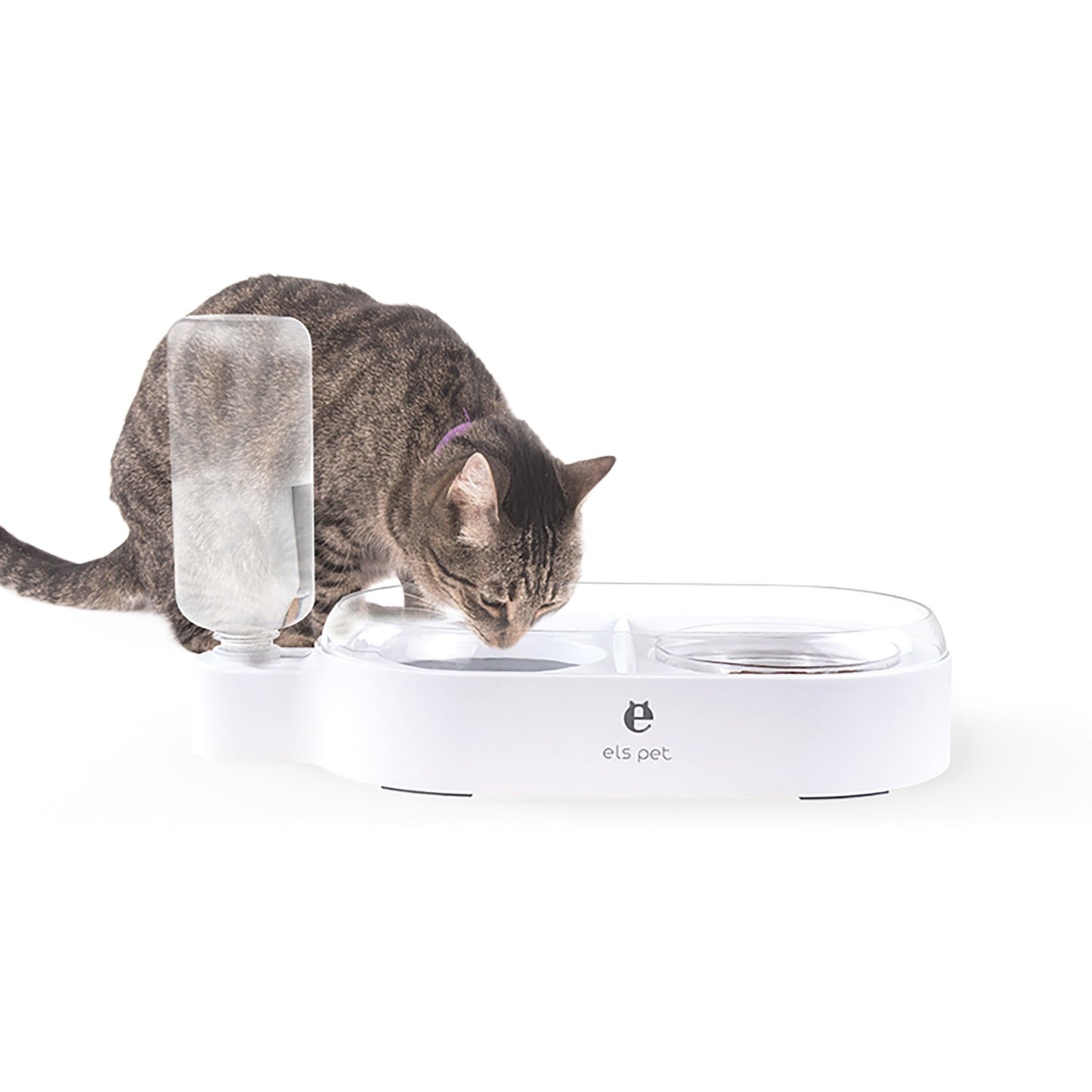 Pet 2 - in - 1 Water Bowl and Food Bowl - fabufabu design store