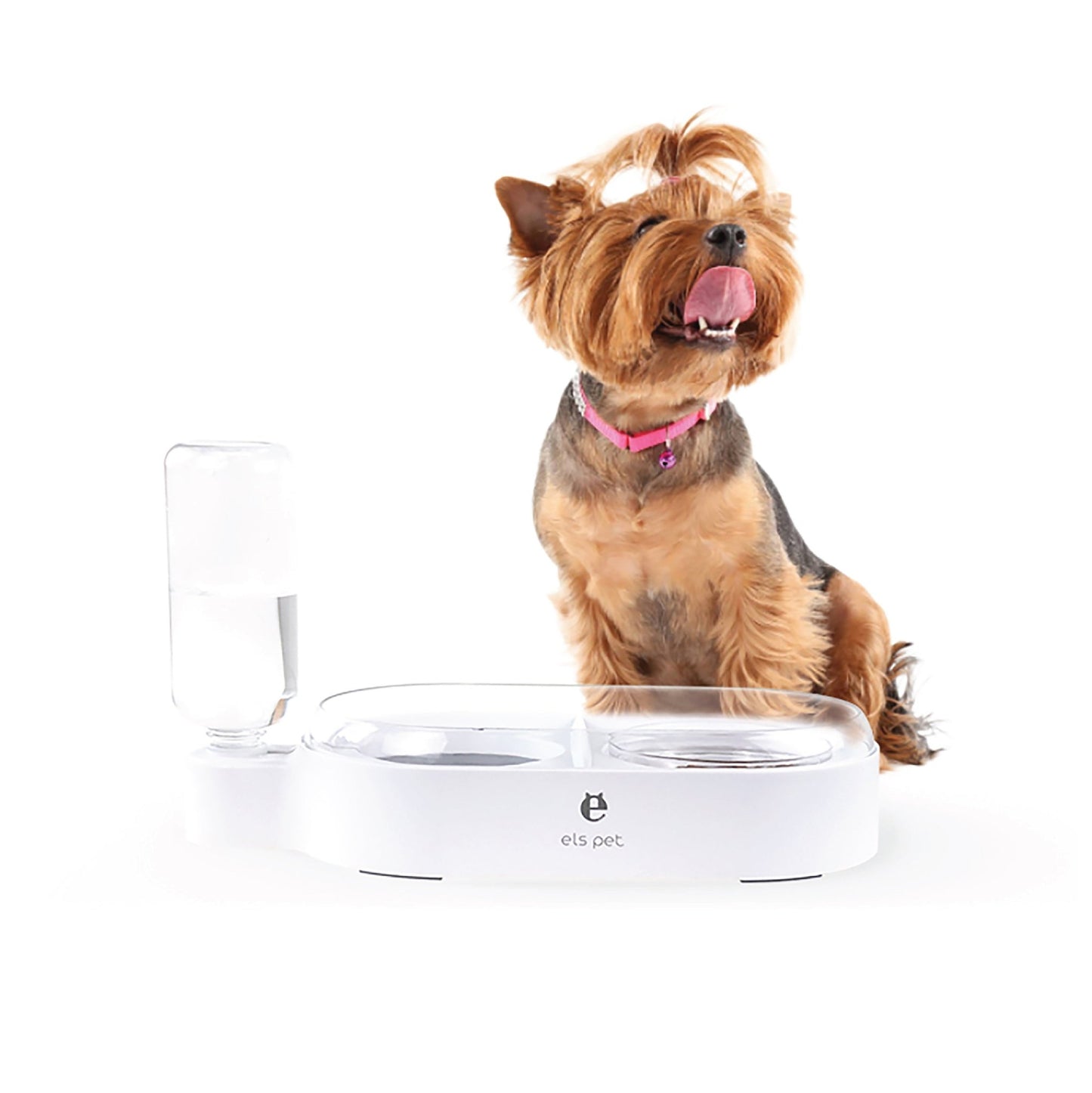 Pet 2 - in - 1 Water Bowl and Food Bowl - fabufabu design store