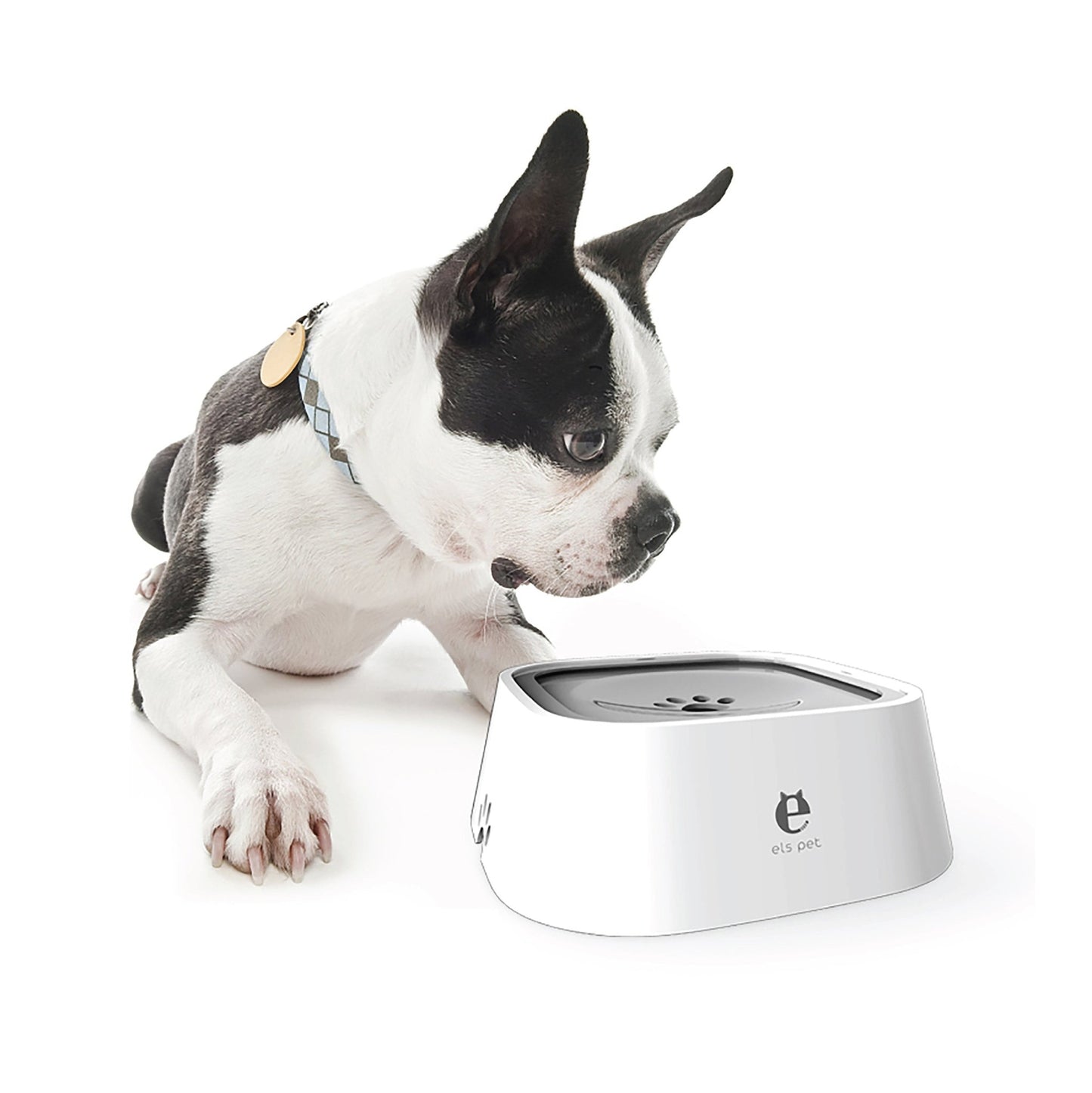 Pet Water Bowl No Drip Slow Water Feeder for Dogs & Cats - fabufabu design store