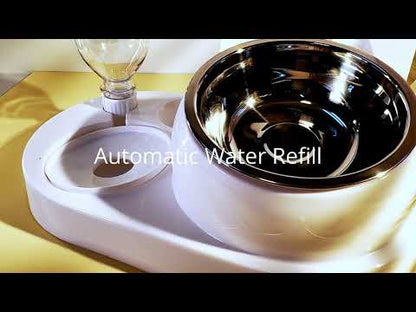 2 in 1 Dog Cat Water and Food Bowl Set